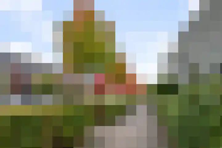 Waterviolier 50 Alphen aan den Rijn thumbnail 7