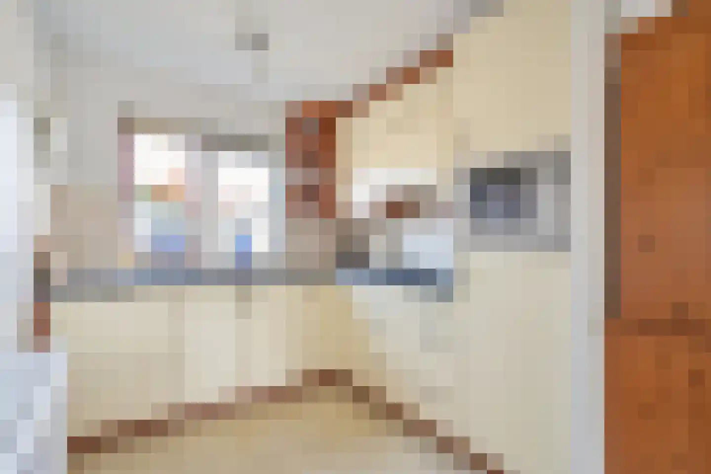 Waterviolier 50 Leidschendam thumbnail 15