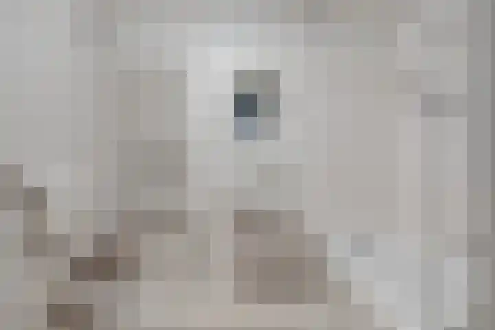 Waterviolier 68 Amersfoort thumbnail 13