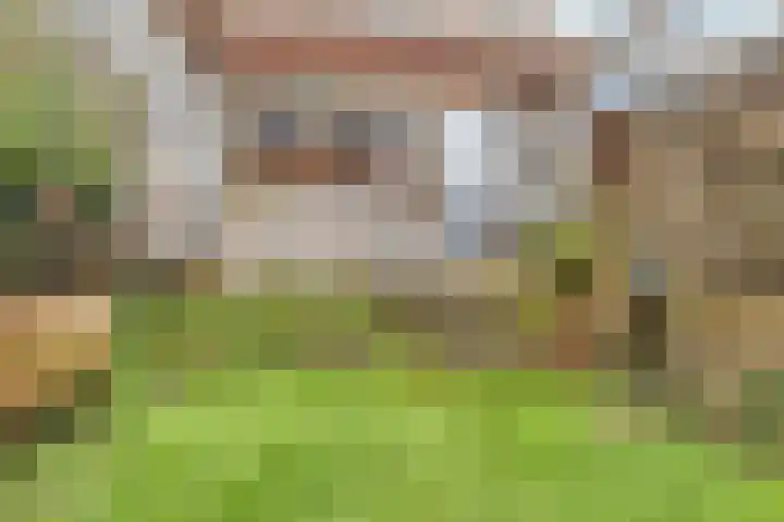 Waterviolier 68 Amersfoort thumbnail 23