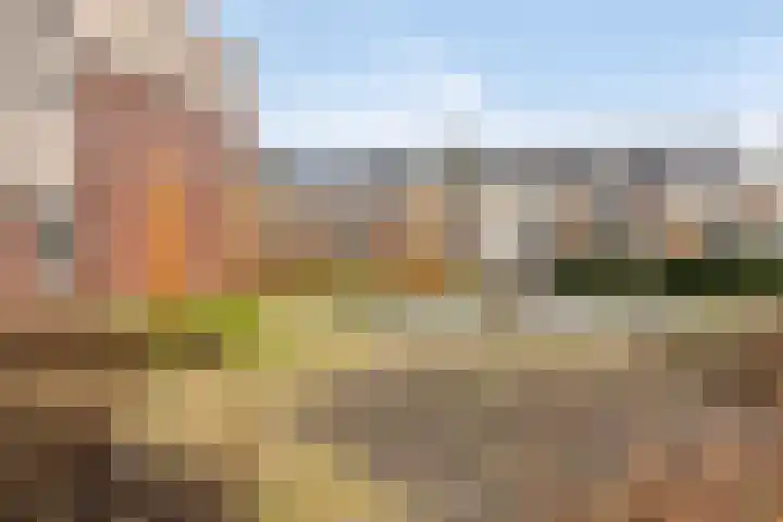 Waterviolier 68 Amersfoort thumbnail 28