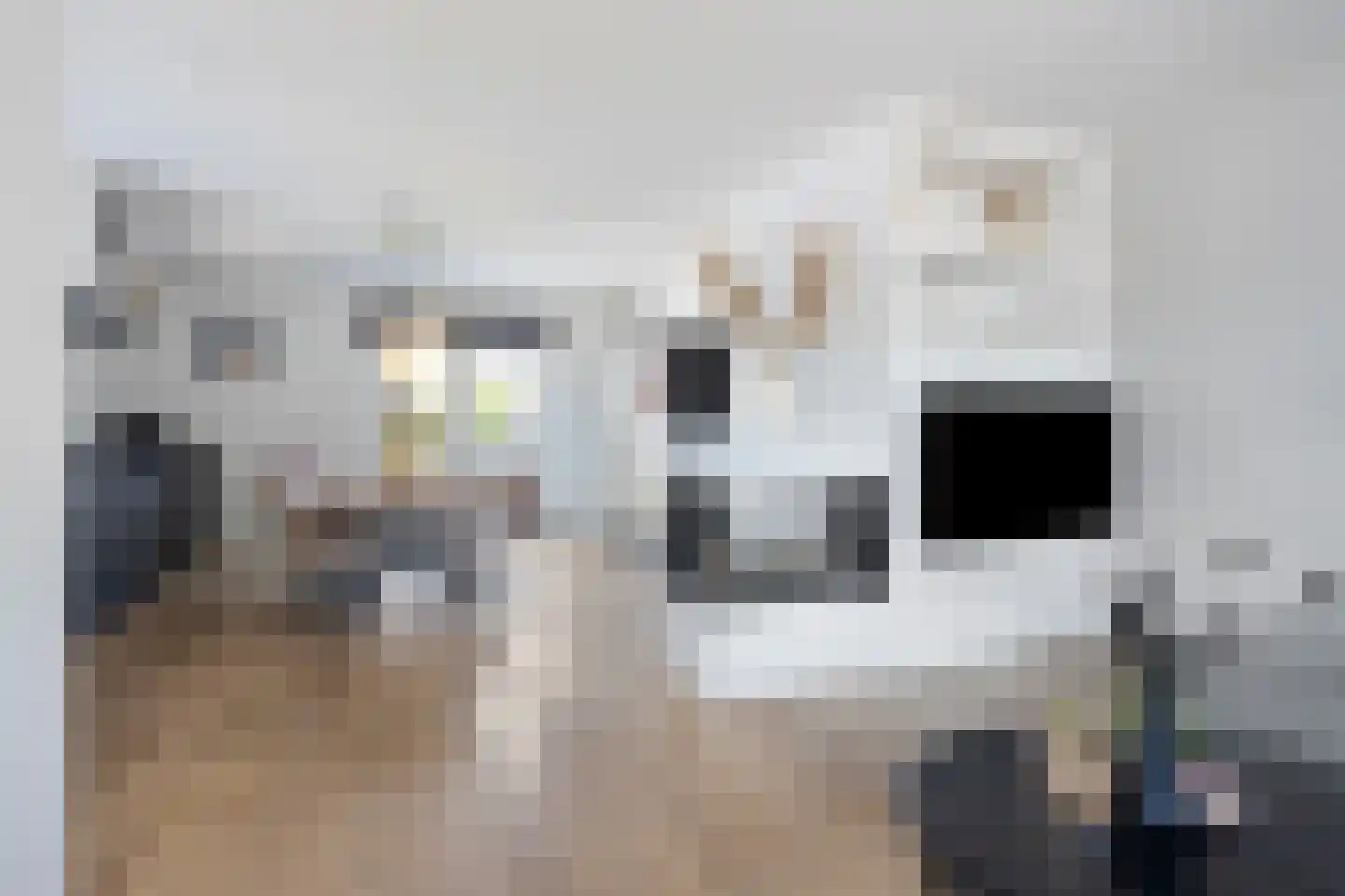 Waterviolier 7 Aalst thumbnail 11