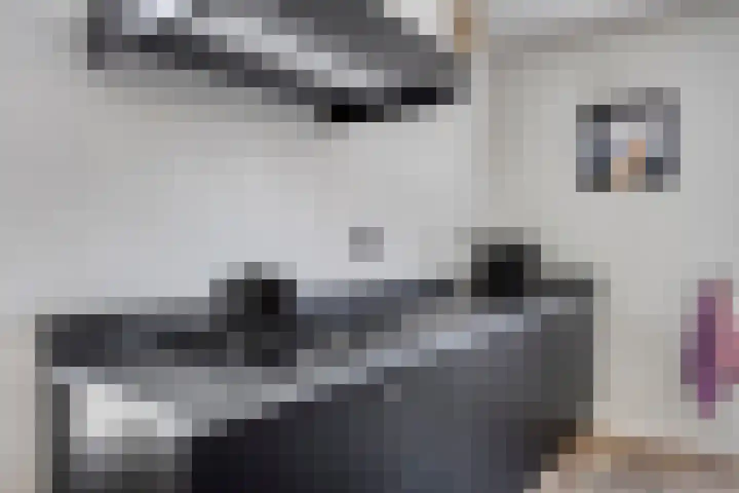 Waterviolier 7 Aalst thumbnail 15