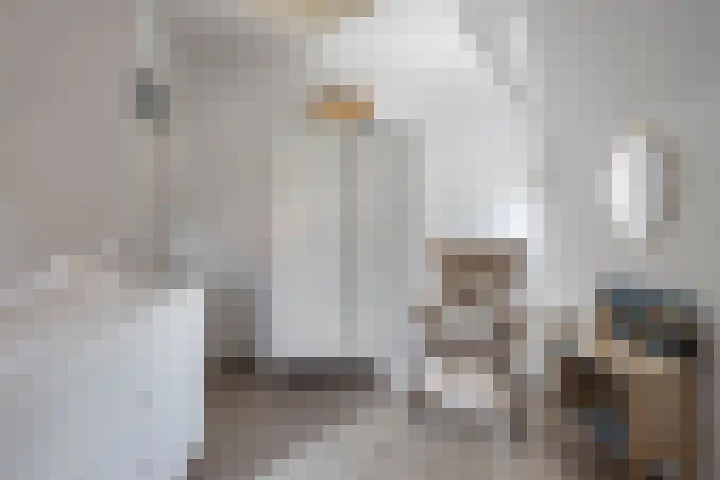 Waterviolier 7 Aalst thumbnail 24