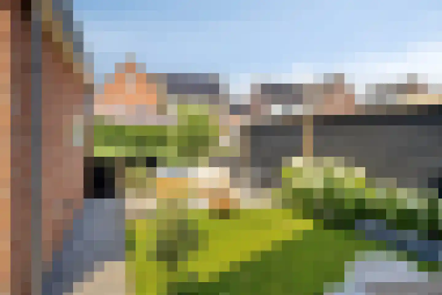 Waterviolier 7 Aalst thumbnail 35