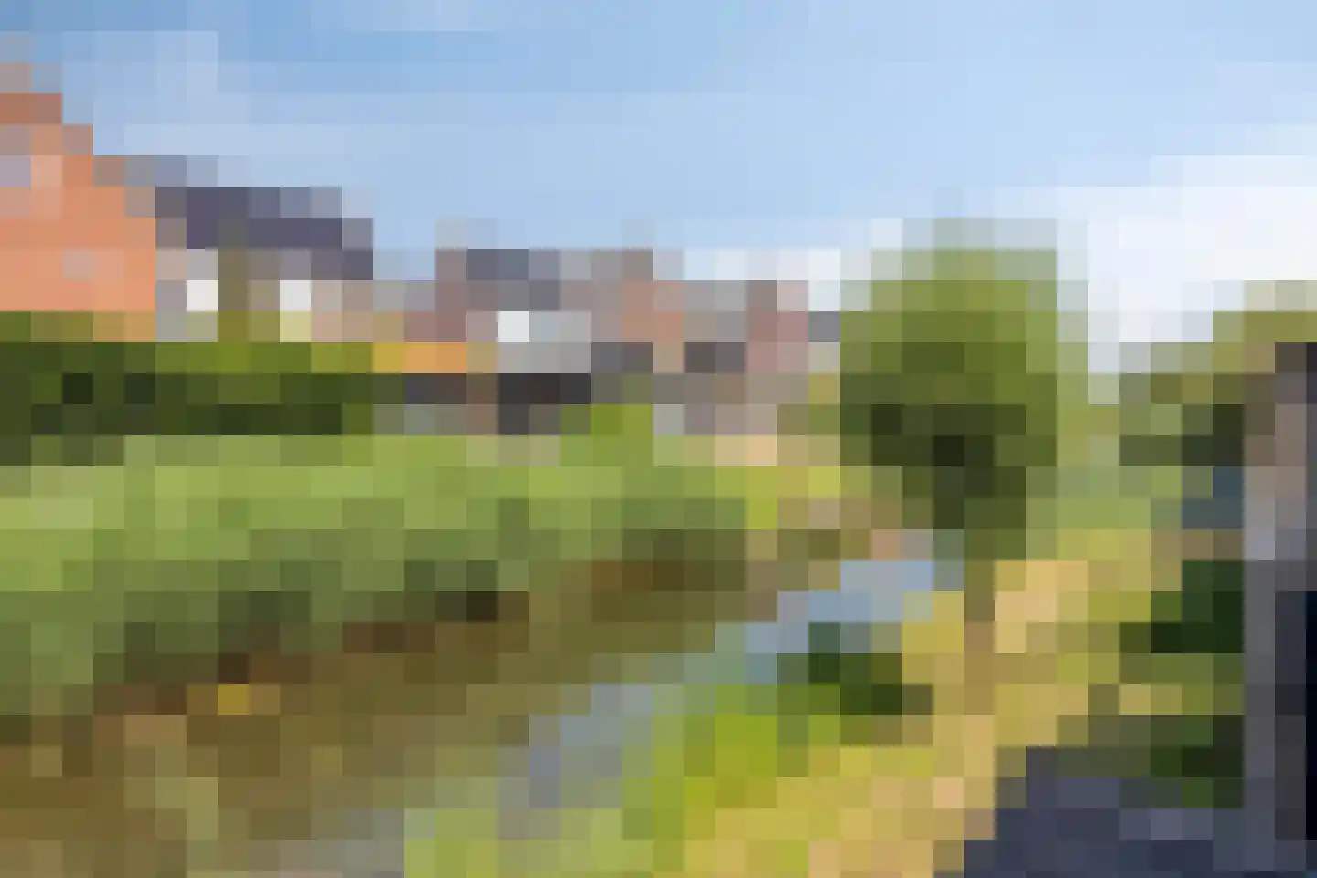 Waterviolier 7 Aalst thumbnail 40