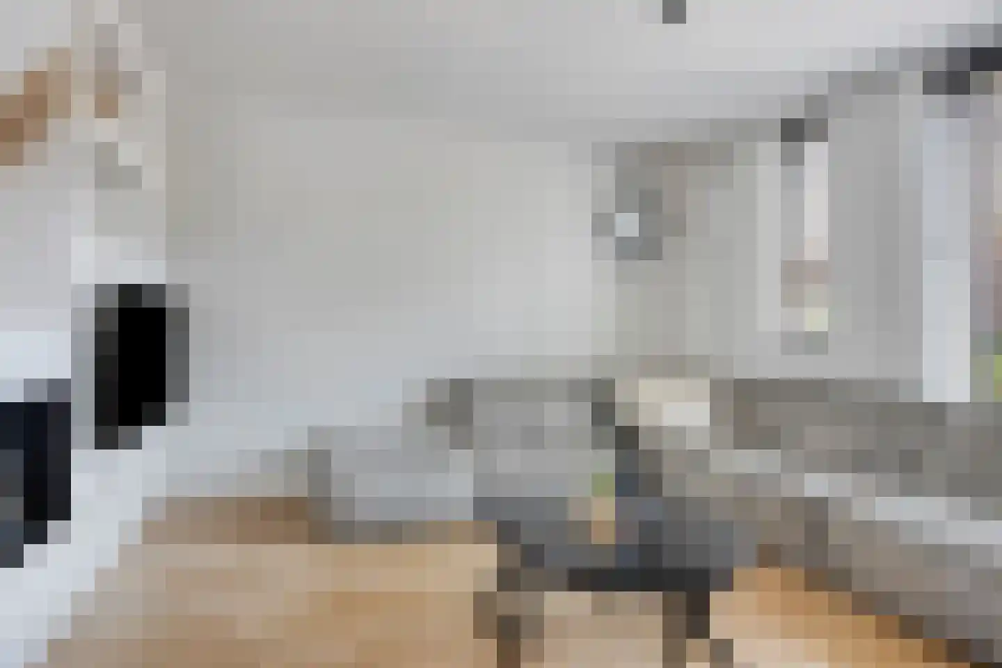 Waterviolier 7 Aalst thumbnail 7
