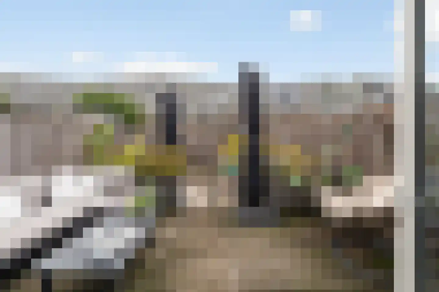 Waterviolier 70 Alphen aan den Rijn thumbnail 21