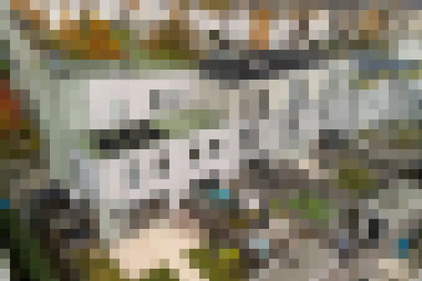 Waterviolier 70 Alphen aan den Rijn thumbnail 26