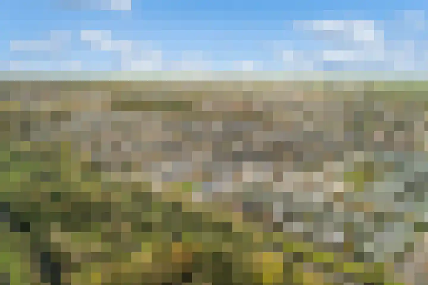 Waterviolier 70 Alphen aan den Rijn thumbnail 4