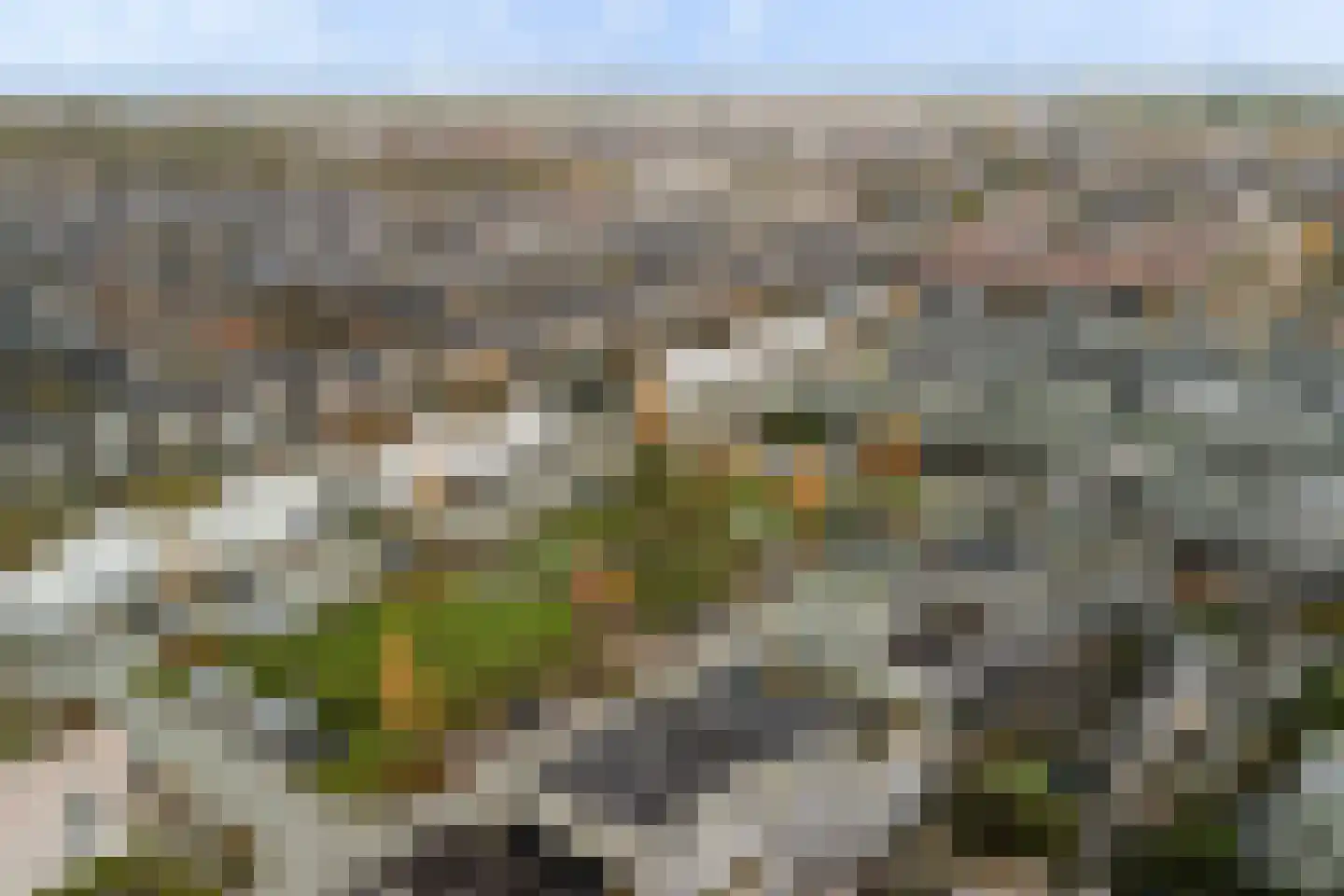 Waterviolier 70 Alphen aan den Rijn thumbnail 5