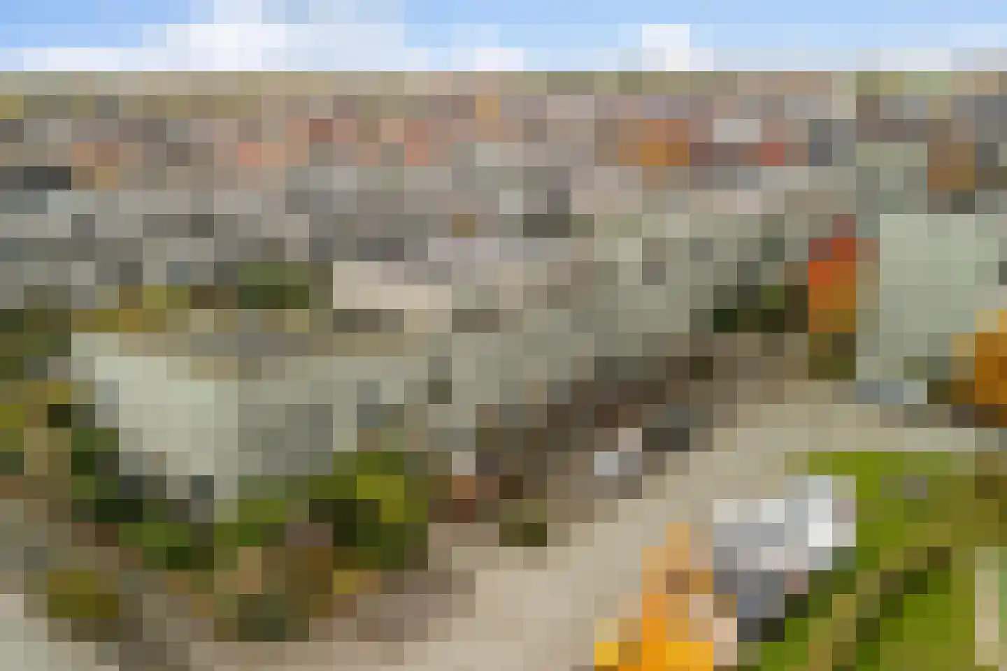 Waterviolier 70 Alphen aan den Rijn thumbnail 7