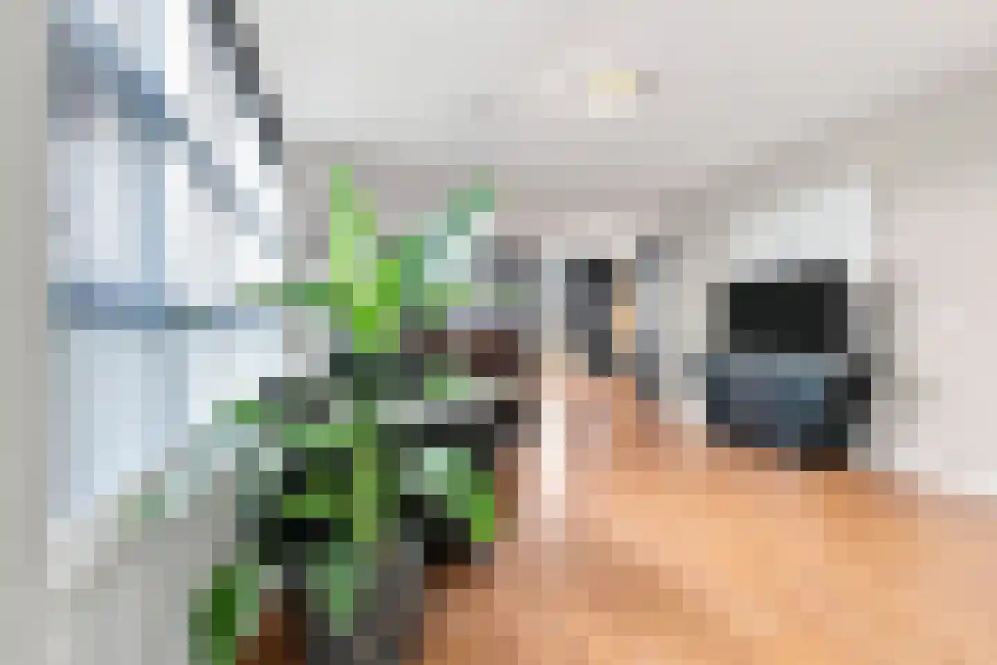 Waterviolier 92 Breda thumbnail 11