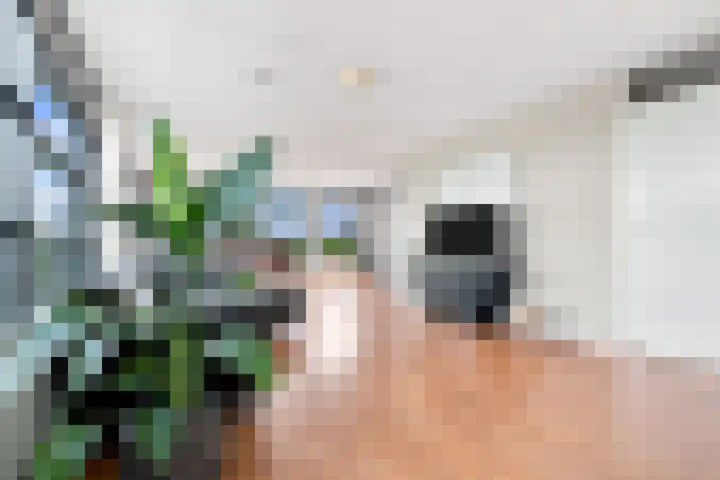 Waterviolier 92 Breda thumbnail 12