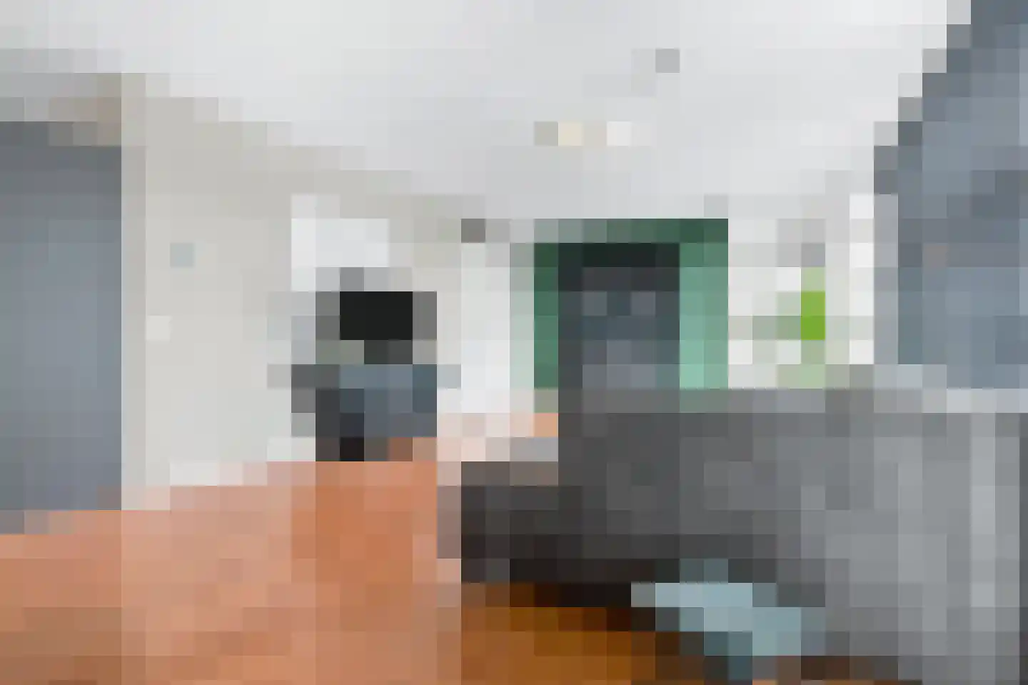 Waterviolier 92 Breda thumbnail 13