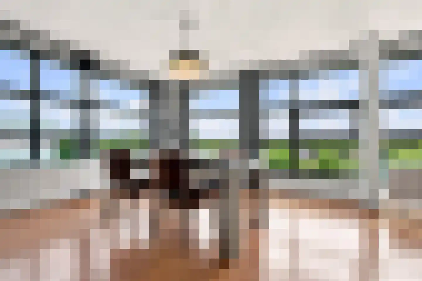 Waterviolier 92 Breda thumbnail 17
