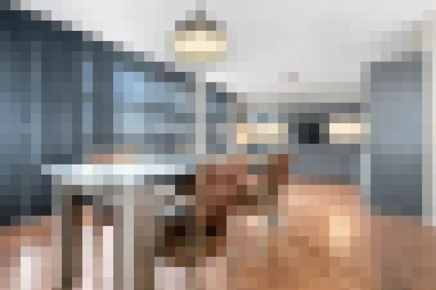 Waterviolier 92 Breda thumbnail 20
