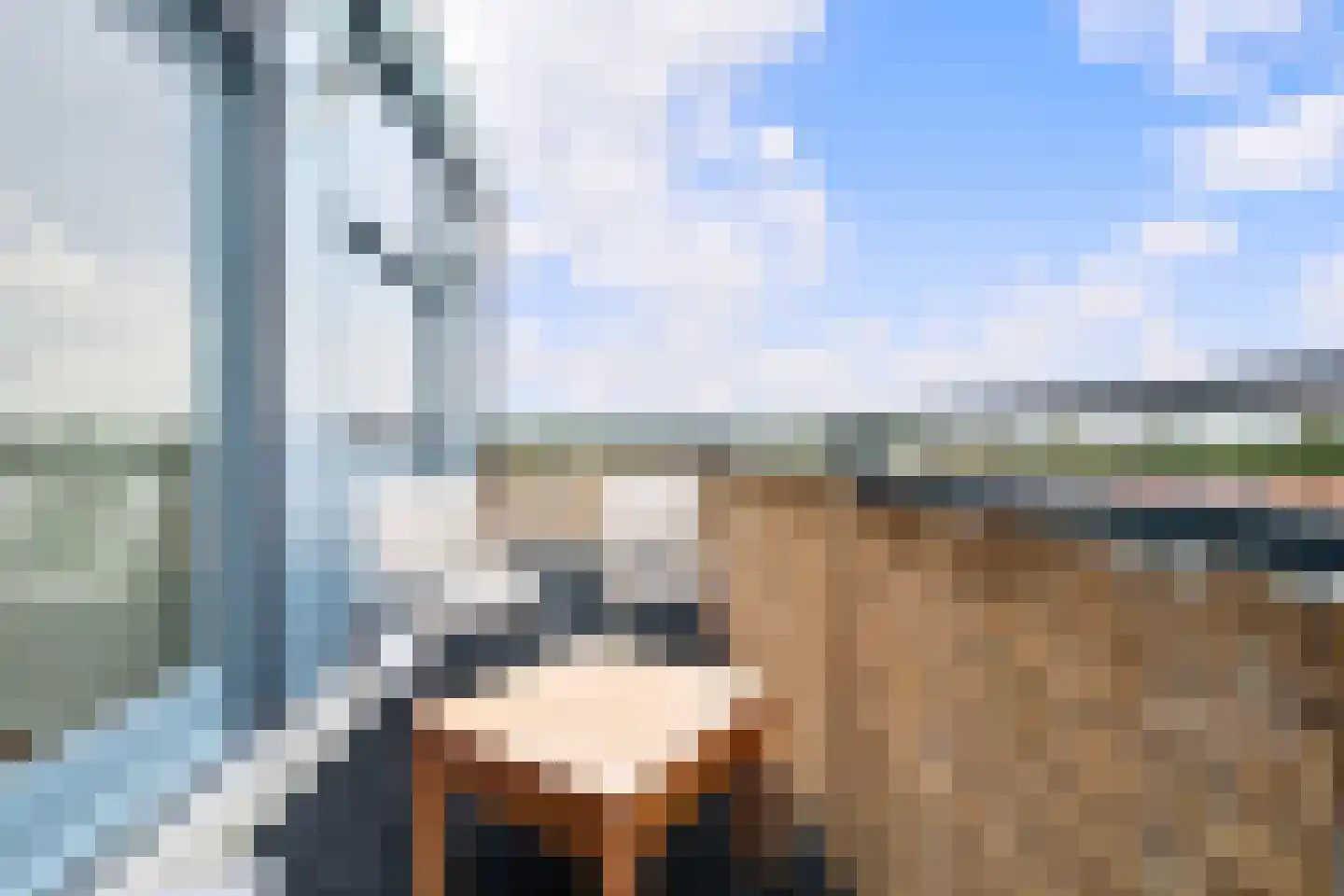 Waterviolier 92 Breda thumbnail 43
