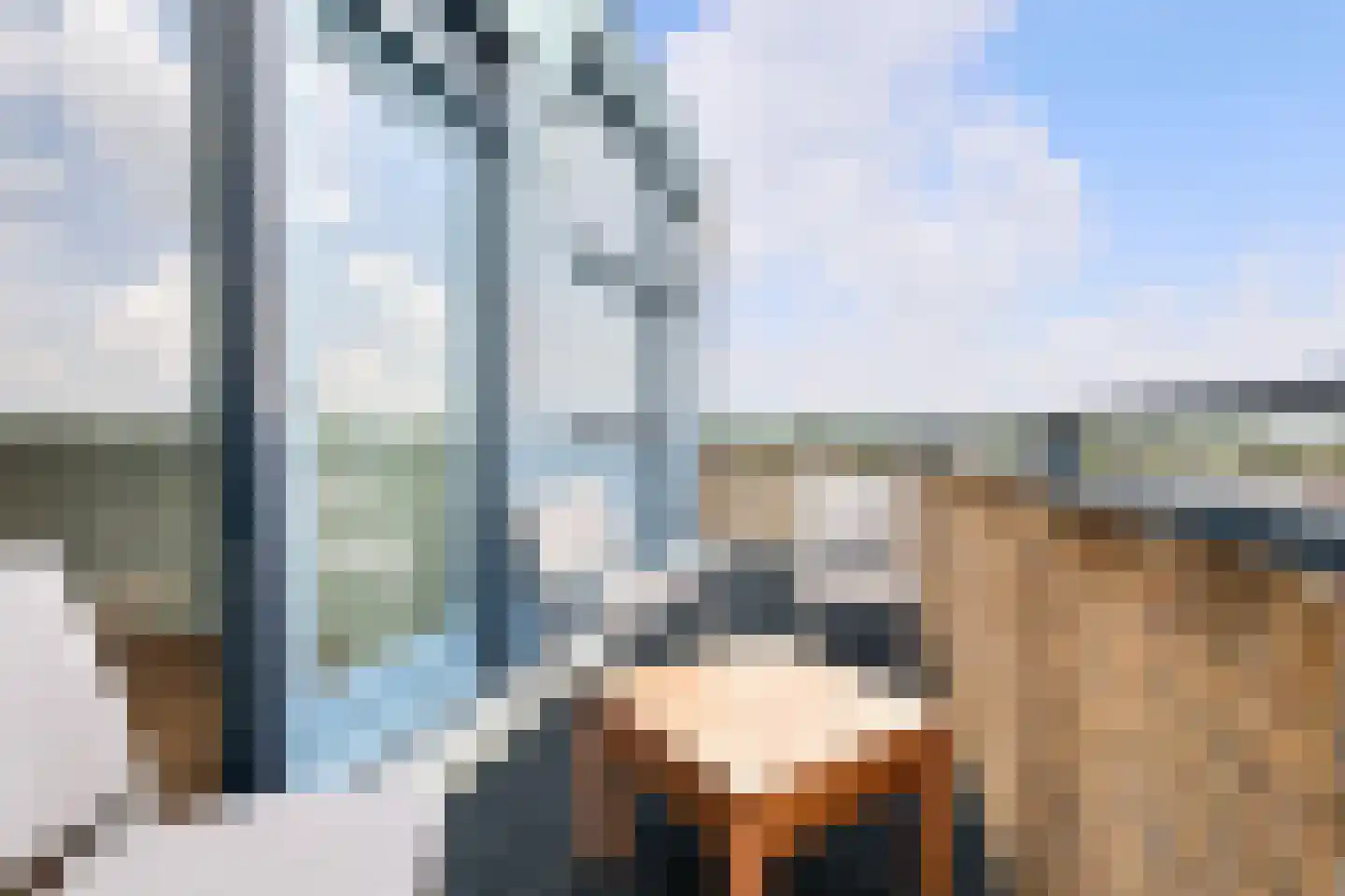 Waterviolier 92 Breda thumbnail 44
