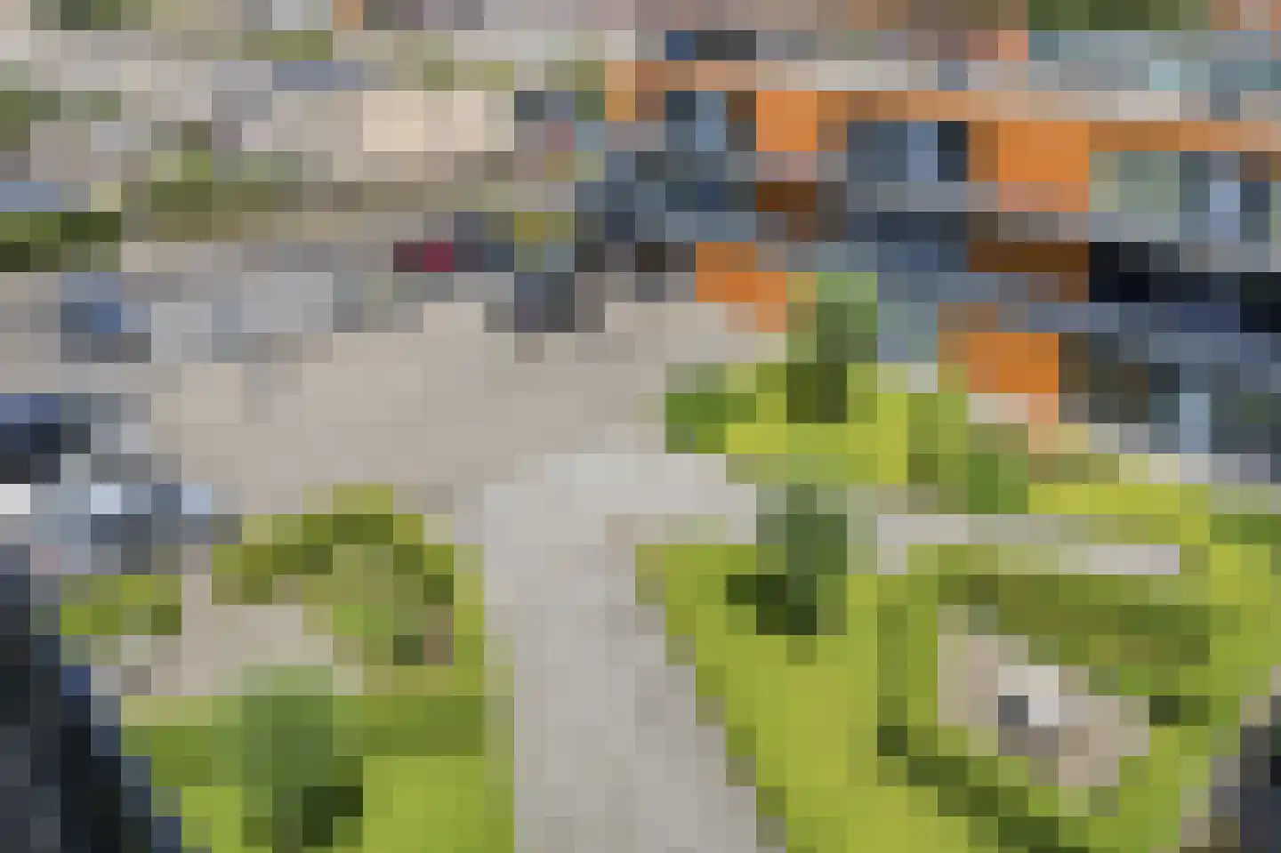 Waterviolier 92 Breda thumbnail 47