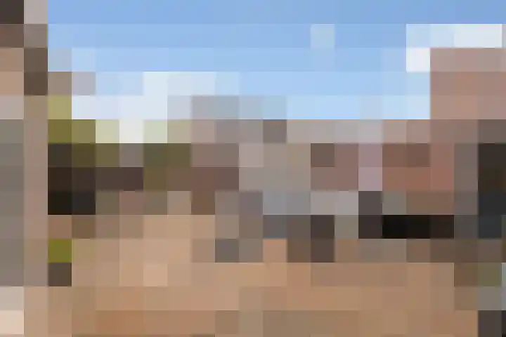 Waterviolier 92 Montfoort thumbnail 23