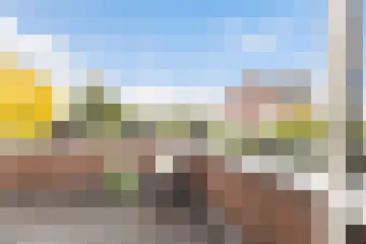 Waterviolier 92 Montfoort thumbnail 28
