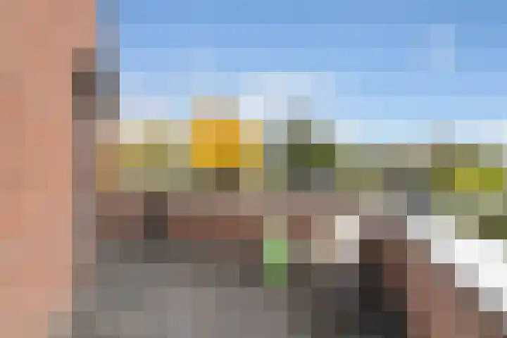 Waterviolier 92 Montfoort thumbnail 29