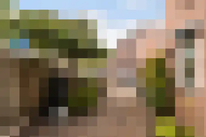 Waterviolier 92 Montfoort thumbnail 38