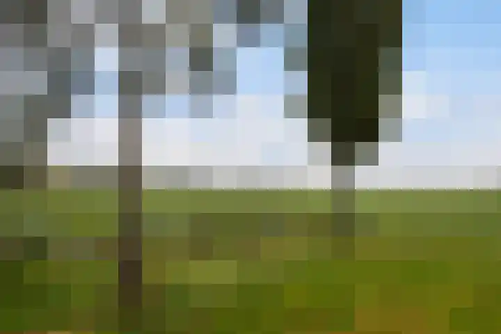 Waterviolier 92 Montfoort thumbnail 43