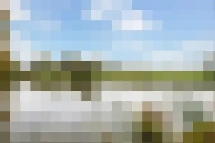 Waterviolier 92 Montfoort thumbnail 44