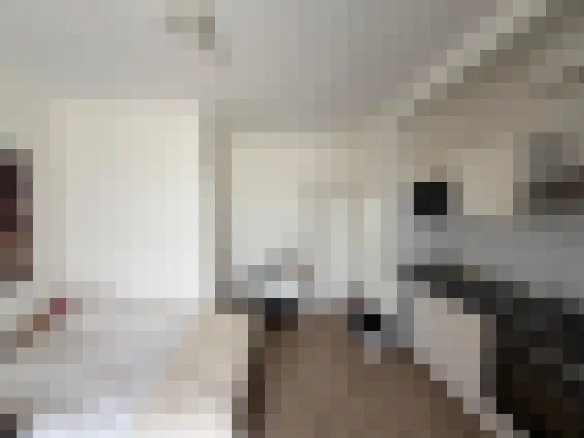 Watervlierstraat 8 in Den Haag
