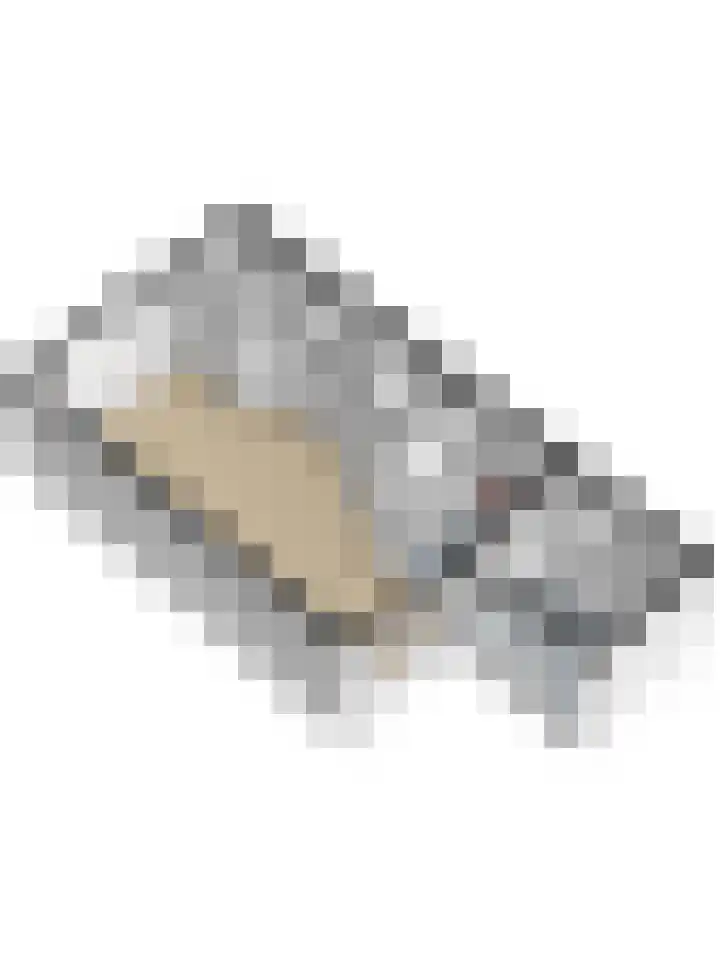 Watervliet 36 Krabbendijke thumbnail 39