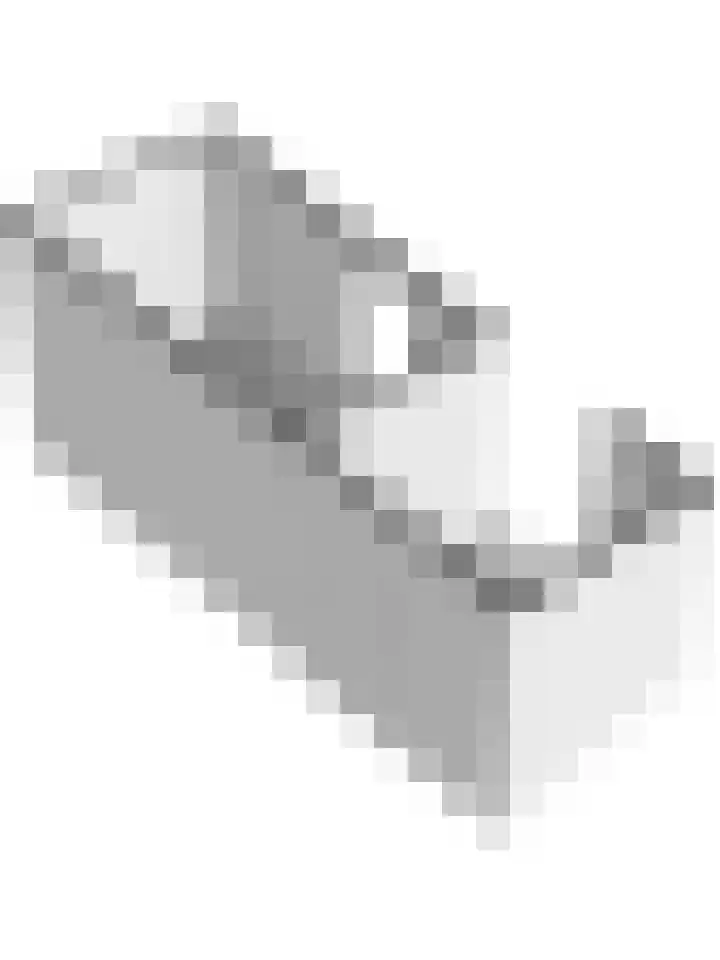 Watervliet 36 Krabbendijke thumbnail 40