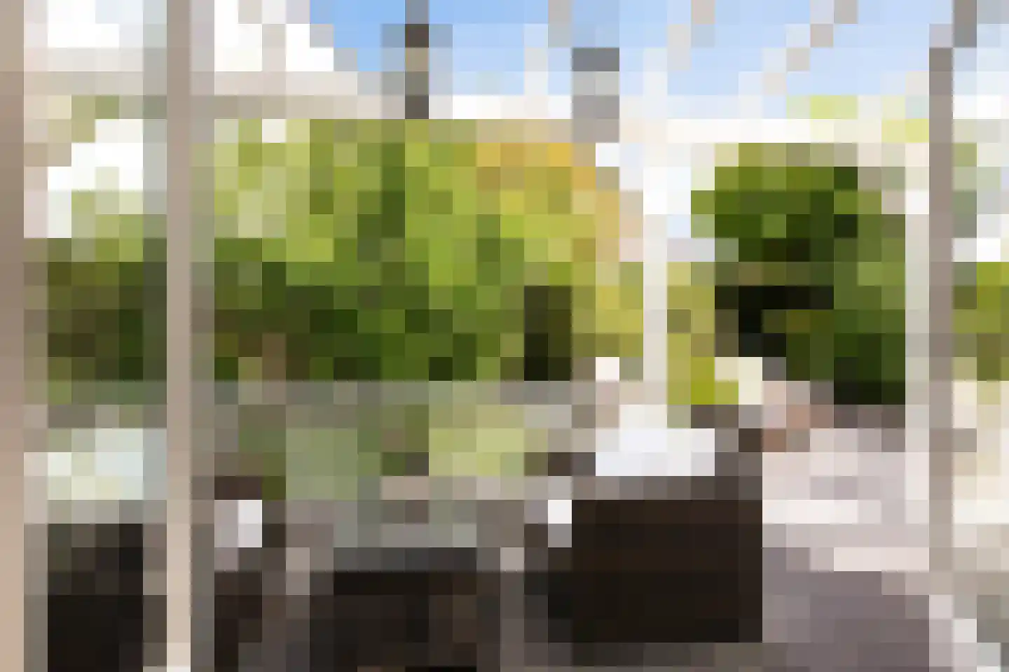 Watervliet 40 Hoofddorp thumbnail 43