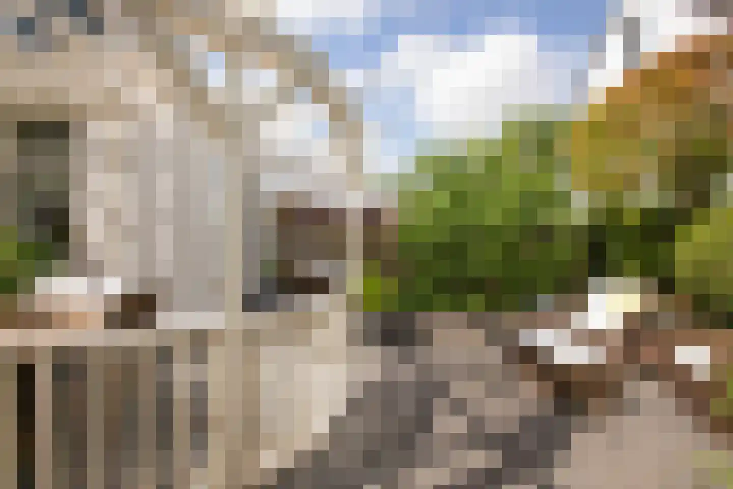 Watervliet 40 Hoofddorp thumbnail 46
