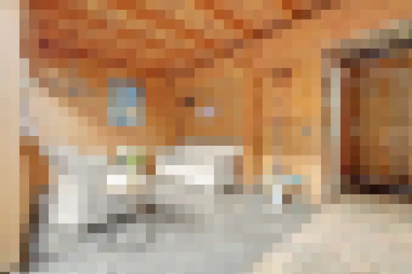 Watervliet 51 Krabbendijke thumbnail 30