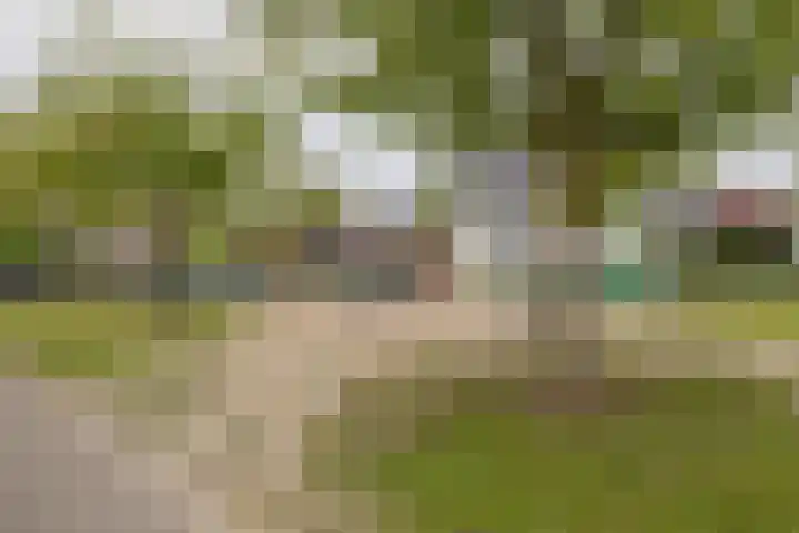 Watervliet 63 Hoofddorp thumbnail 38