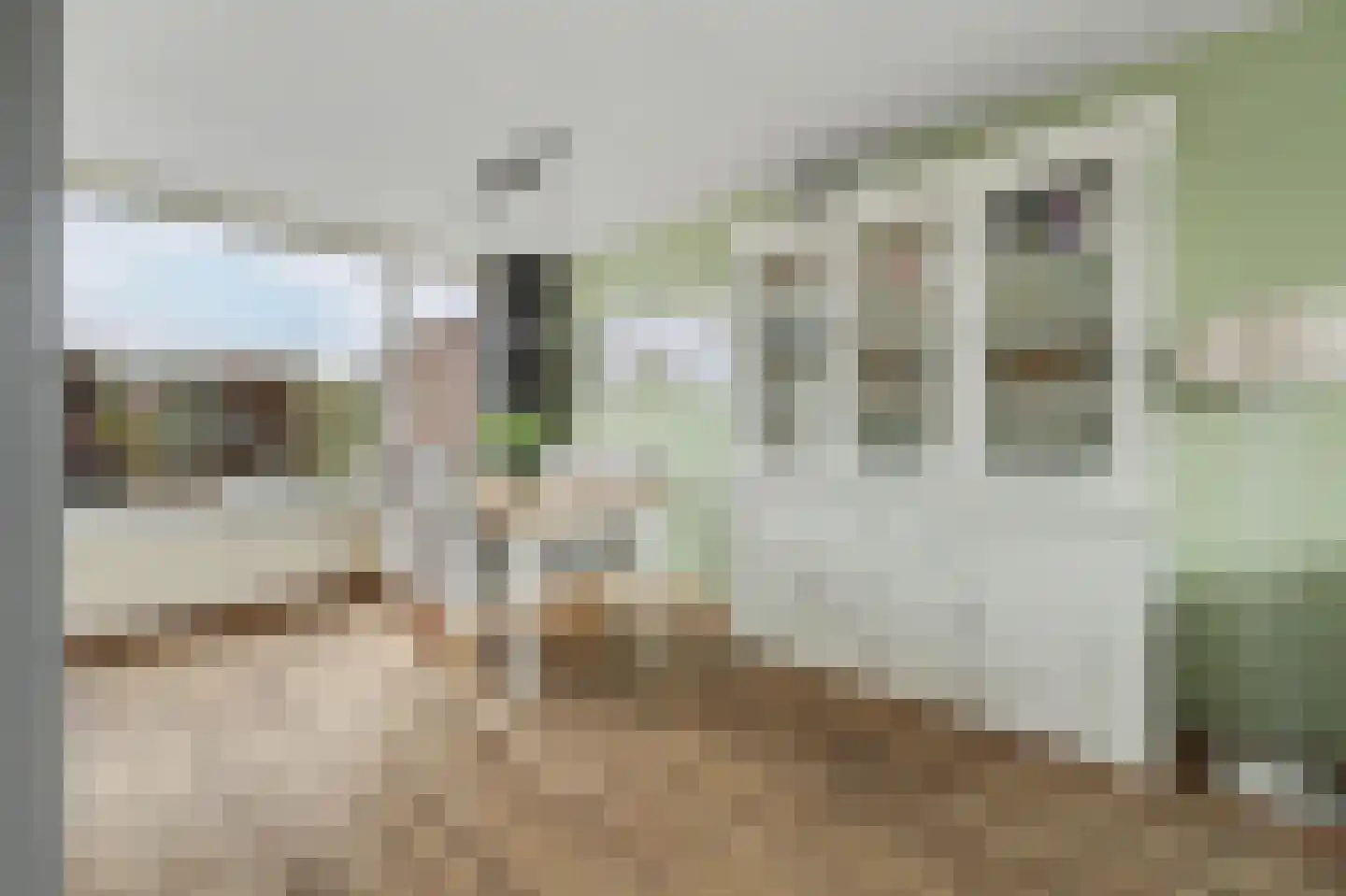 Watervliet 65 Krabbendijke thumbnail 8