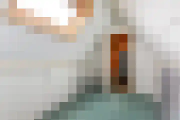 Watervliet 7 Krabbendijke thumbnail 24