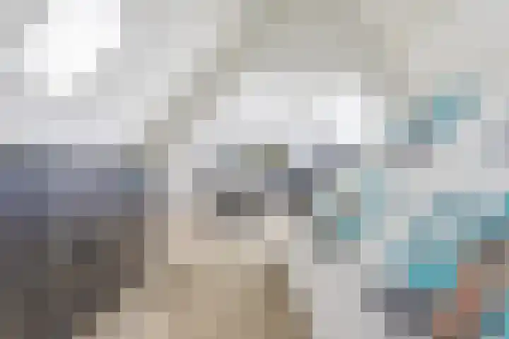Watervliet 7 Krabbendijke thumbnail 26