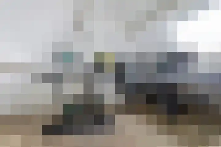 Watervliet 7 Krabbendijke thumbnail 27