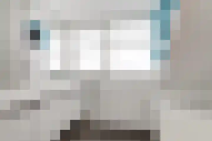 Watervliet 7 Krabbendijke thumbnail 38