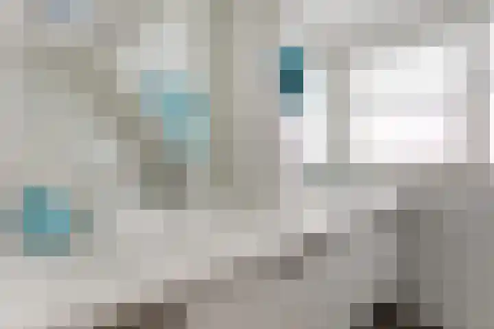 Watervliet 7 Krabbendijke thumbnail 39