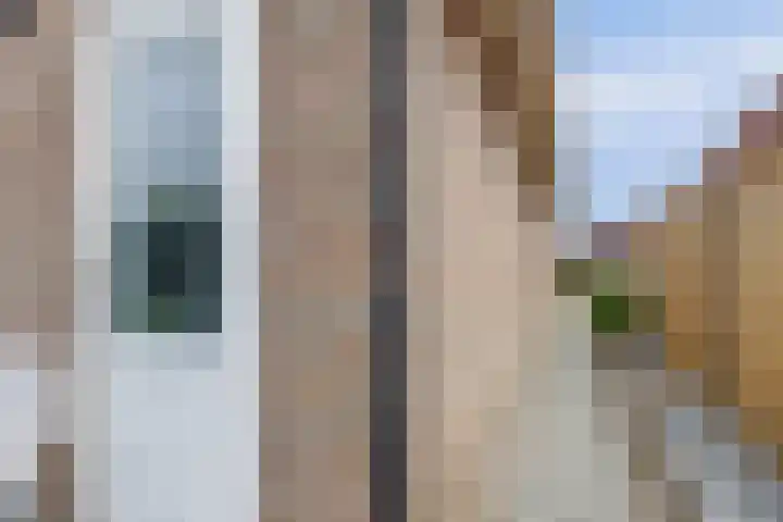 Watervliet 7 Krabbendijke thumbnail 41