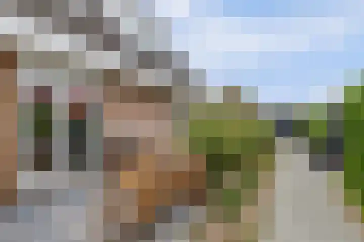 Watervliet 7 Krabbendijke thumbnail 42