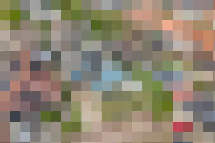Watervliet 7 Krabbendijke thumbnail 48