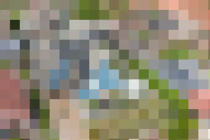 Watervliet 7 Krabbendijke thumbnail 49