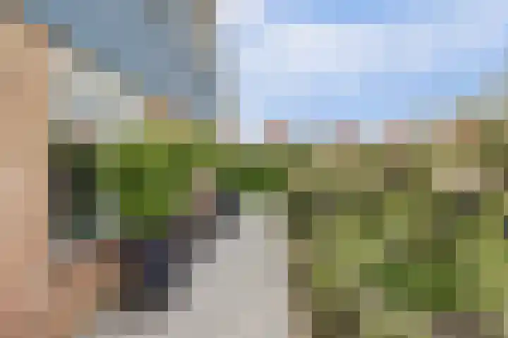 Watervliet 7 Krabbendijke thumbnail 5