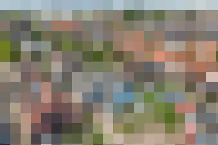 Watervliet 7 Krabbendijke thumbnail 54