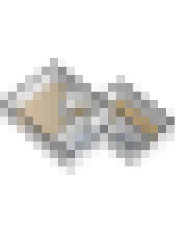 Watervliet 7 Krabbendijke thumbnail 61